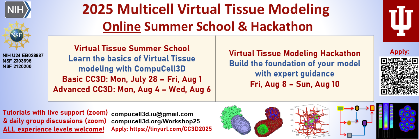 2025 CompuCell3D Workshop